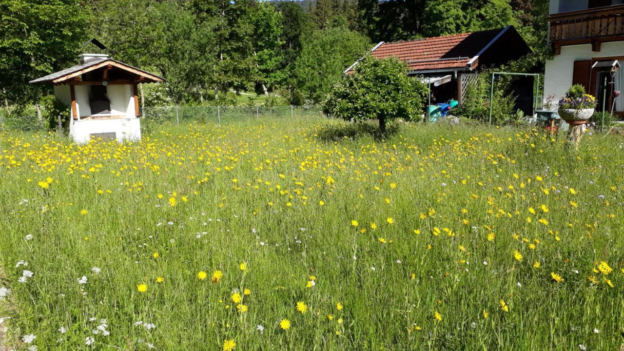 Gaestehaus Kurparkfrieden ミッテンヴァルト エクステリア 写真